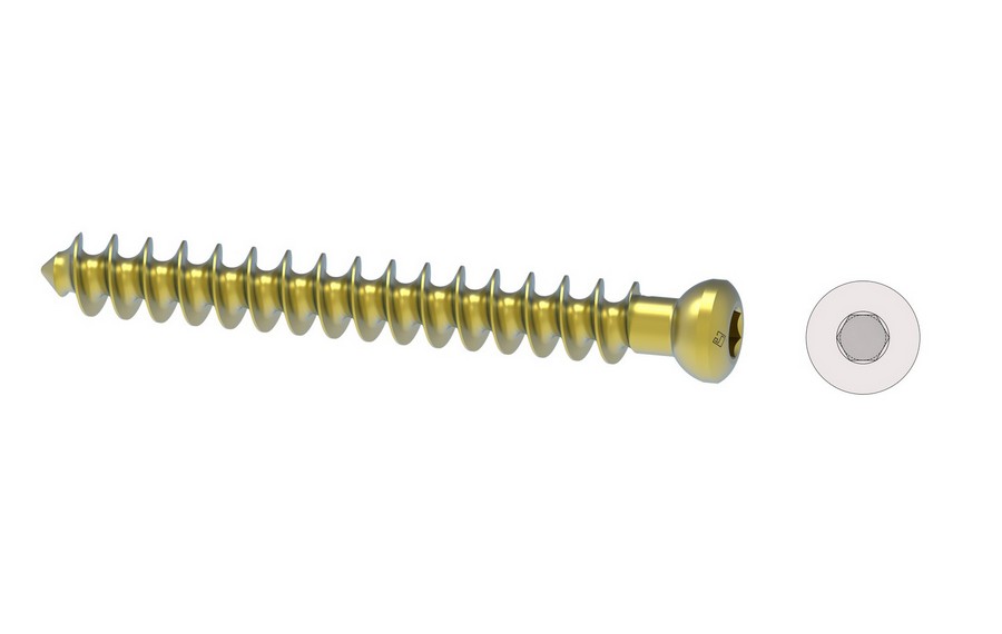 Cancellous Screws &Oslash; 6.5mm- Fully Threaded		 